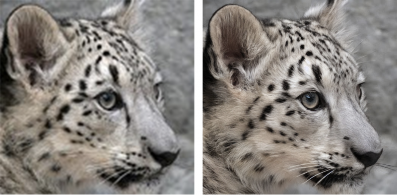 File:4. Stability Upscaler.png