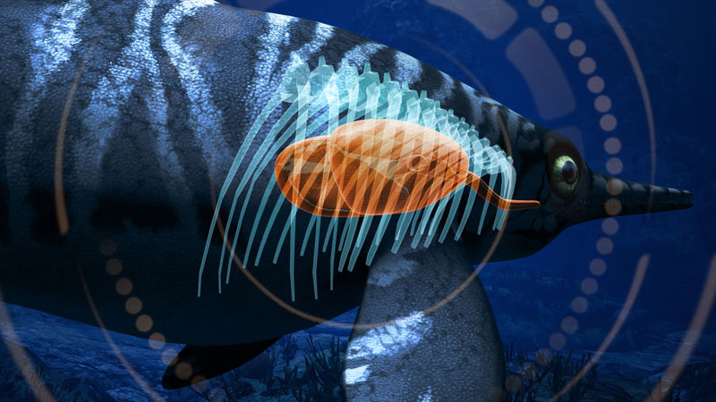 File:TMVR Ophthalo.jpg