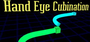 Hand eye cubination1.jpg